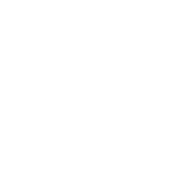 Vicarious Surgical Inc. Share Price